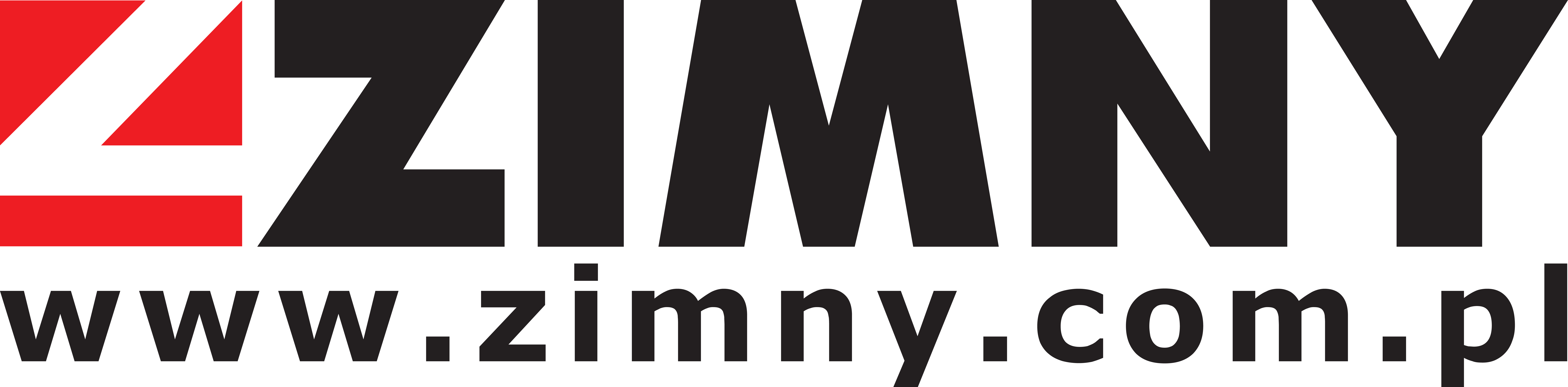 Zimny Auto