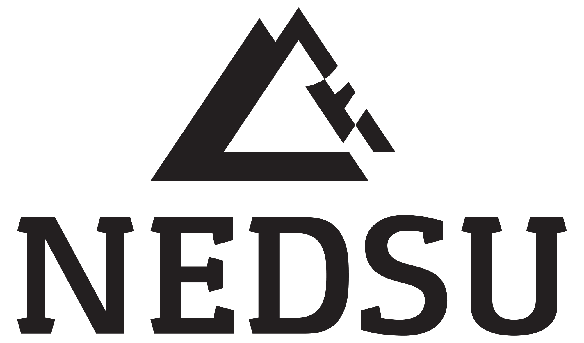 Nedsu Heated Gloves
