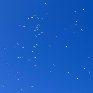 Paragliding international events France Laragne Monteglin Camping flying free